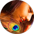 customer-228-1771405578083.png