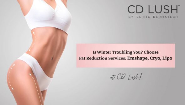 Is Winter Troubling You? Choose Fat Reduction Services : Emshape, Cryo, Lipo at CD Lush